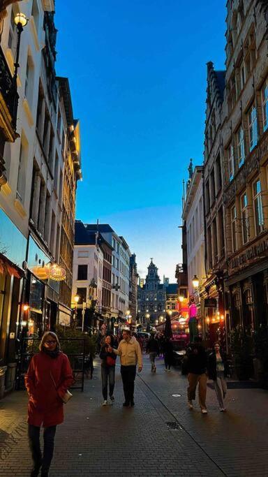 Cozy Antwerp - Cityview Studio Free Parking Extérieur photo